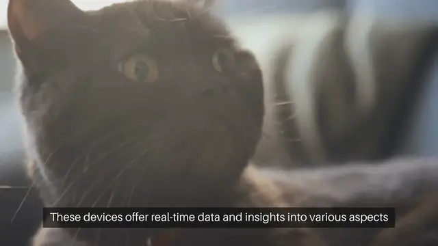 Video thumbnail for Cat Health Monitoring Devices
