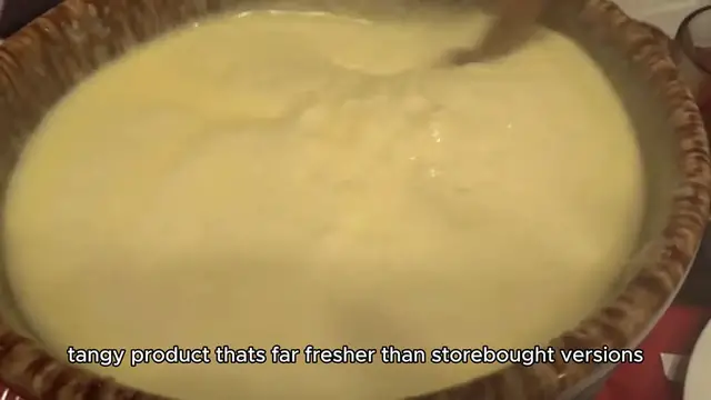 Video thumbnail for sour cream recipe