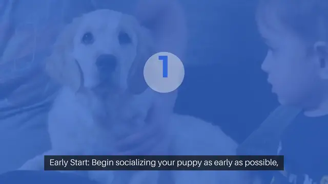 Video thumbnail for Puppy Socializing Tips