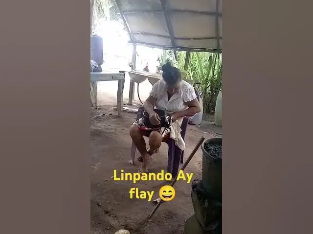 Video thumbnail for Fim de tarde secando a Ay Flay #musica