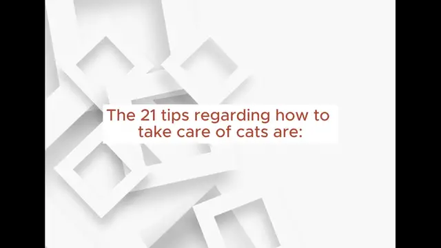 Video thumbnail for How To Take Care Of Cats |21 Best Tips