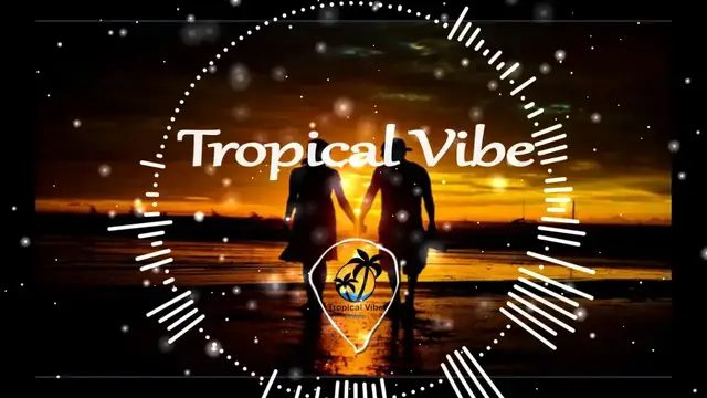 Video thumbnail for HKN  - TROPICAL VIBE (DΔRK VEINS EDIT)