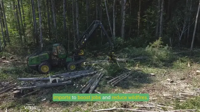 Video thumbnail for Will Trump’s Logging Plan Really Prevent Wildfires? What It Means for Jobs, Wildlife & Climate