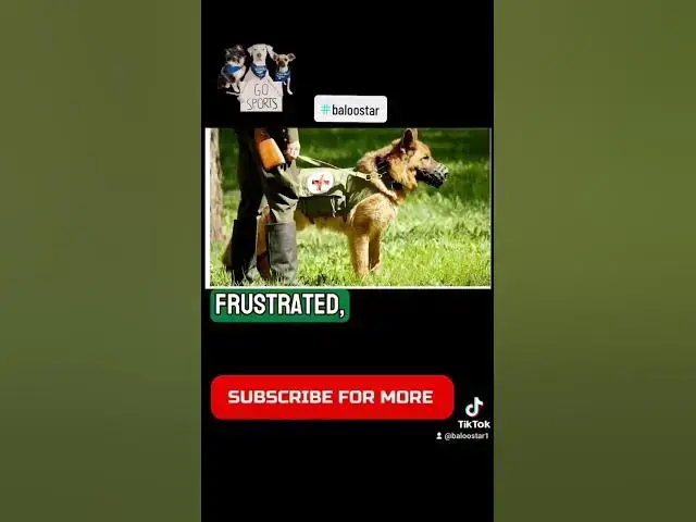 'Video thumbnail for Gsd 101 2023 10 19 203730484'