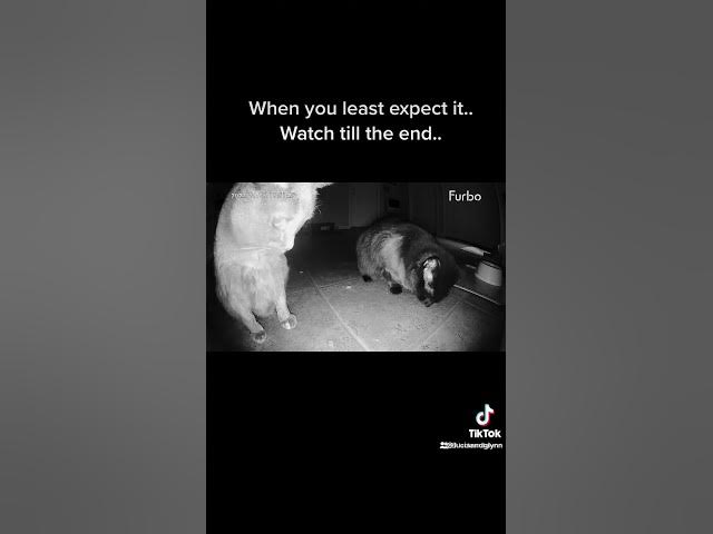 Video thumbnail for Best love hate relationship