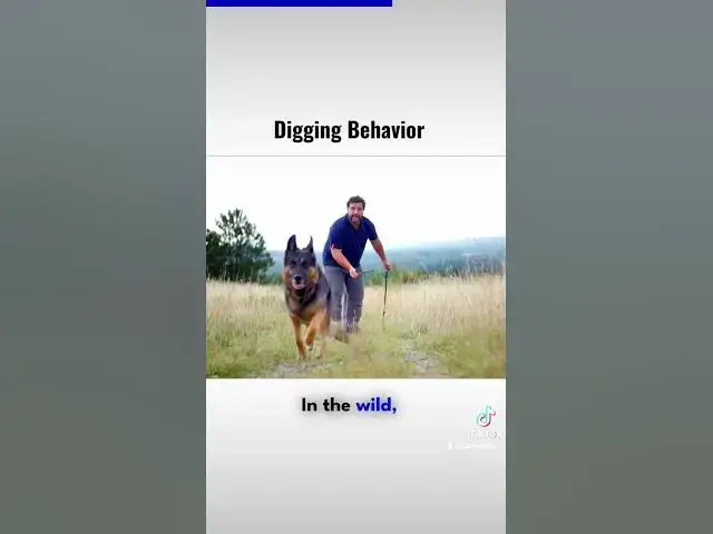 'Video thumbnail for Gsd 101 2023 10 26 071647479'