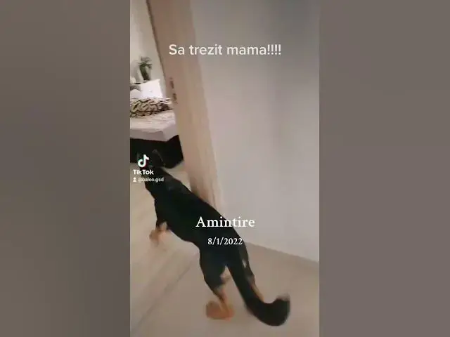 Video thumbnail for 1 august 2024