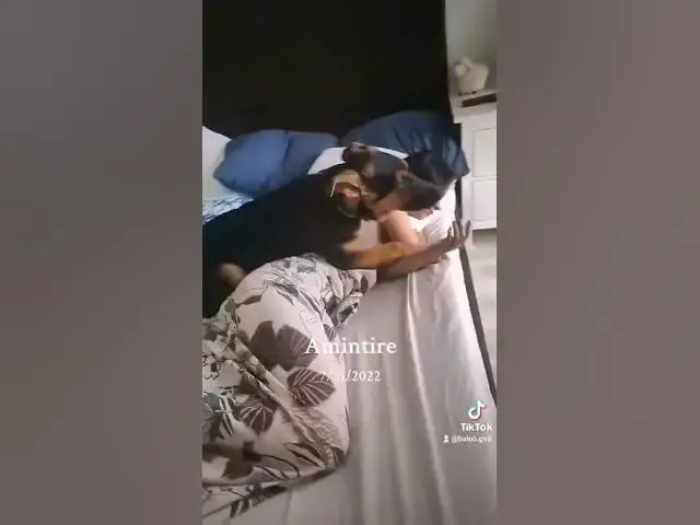 Video thumbnail for 1 august 2024