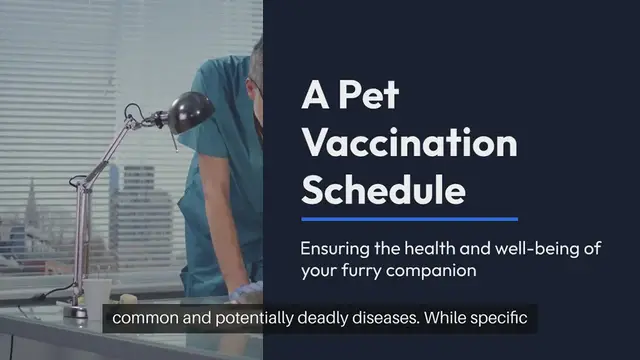 Video thumbnail for Pet Vaccination Schedule