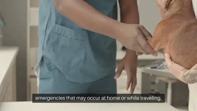 Video thumbnail for Creating a Pet First Aid Kit