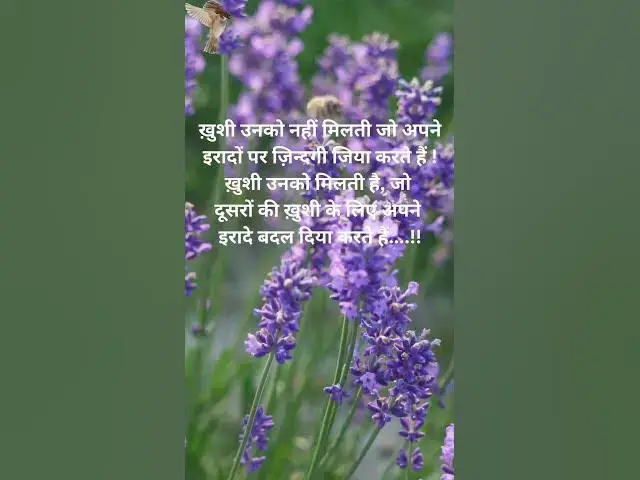 Video thumbnail for ख़ुशी उनको नहीं मिलती जो अपने इरादों पर ज़िन्दगी जिया करते हैं !@ashvinjoshi1393 #motivasnalvideos