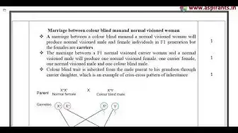 Video thumbnail for 12th Bio-Zoology Quarterly Exam Answer Keys 2019-20 | Namakkal District | English Medium