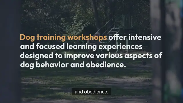 Video thumbnail for Dog Training Workshops