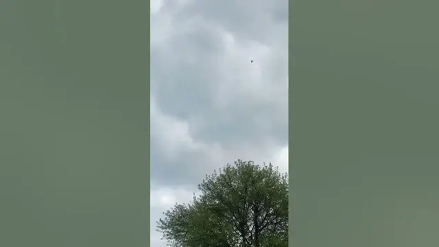 Video thumbnail for It looks like it's going to rain.🤔🤨#shorts