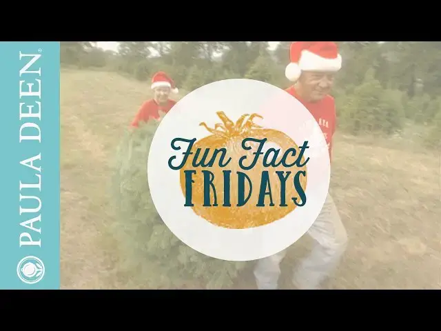 Video thumbnail for How to find the best Christmas Tree - Fun Fact Friday