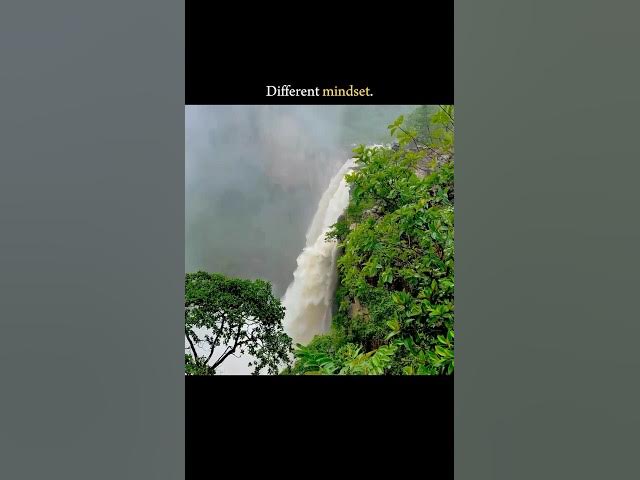 Video thumbnail for #NepalCricket #NPL #NPL2025 #Cricket #Nepal  #TrendingNow #SportsShorts #NepalPremierLeague