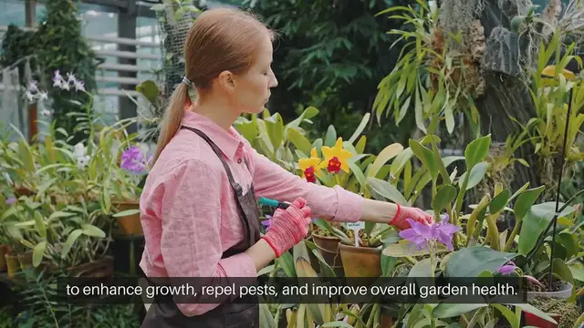 Video thumbnail for Best Plants to Companion Plant