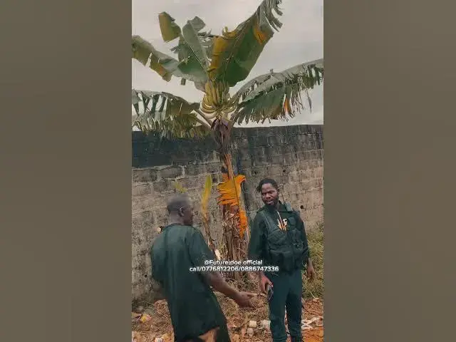 Video thumbnail for Liberian music 🇱🇷 🇱🇷🇱🇷🇱🇷