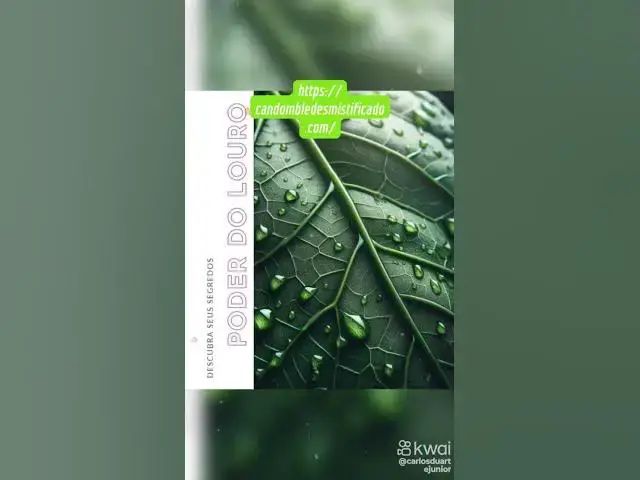 Video thumbnail for 4 de novembro de 2024