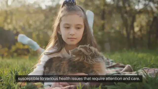 Video thumbnail for Rabbit Health Issues