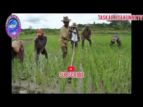 Video thumbnail for DASACE WASU_PLAYEAU