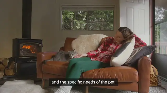 Video thumbnail for Indoor pets vs outdoor pets