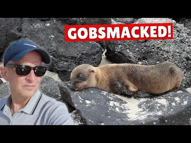 'Video thumbnail for I Went On A Galapagos Cruise PACKED With Surprises'