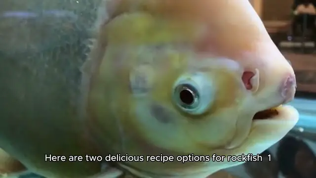 Video thumbnail for rockfish recipe