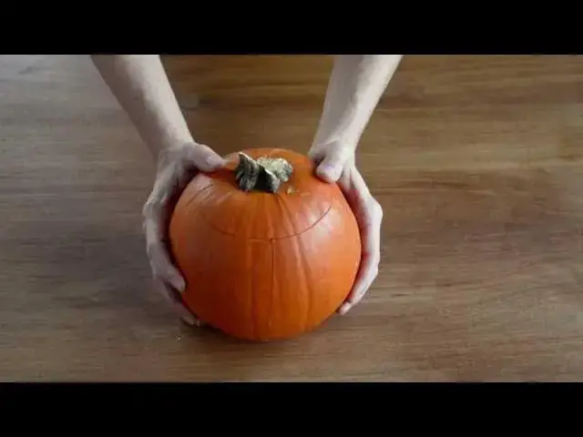 Video thumbnail for How to Make Pumpkin Puree!