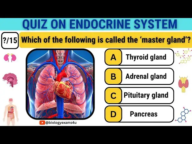 Video thumbnail for Quiz on Endocrine System|| Multiple Choice on Endocrine System with Answers and Explanation