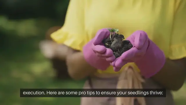 Video thumbnail for Pro Tips for Successful Seedling Transplanting