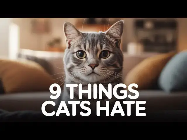 'Video thumbnail for These 9 Everyday Things Hurt Your Cat’s Feelings (And How to Stop)'
