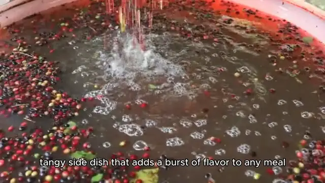 Video thumbnail for cranberry relish recipe