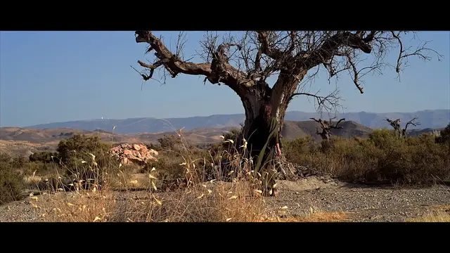 Video thumbnail for Sécheresse-GB.mp4