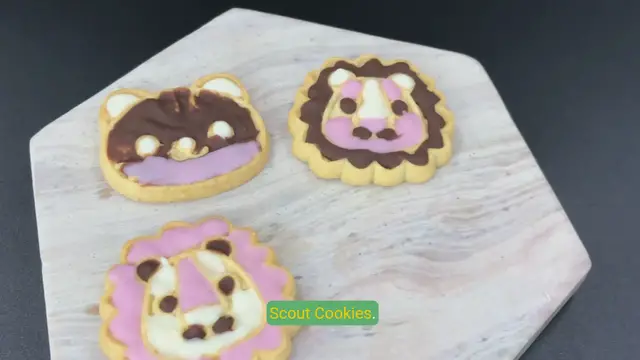 Video thumbnail for Indulge in the Perfect Pairing Of Wendy's Frosty & Girl Scout Cookies!