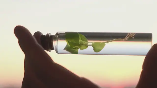 Video thumbnail for Success Stories: How Americans Are Thriving in MLM Businesses