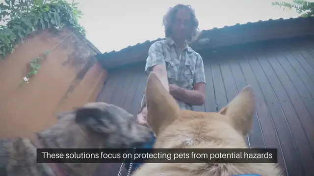 Video thumbnail for Pet Safe Security Solutions