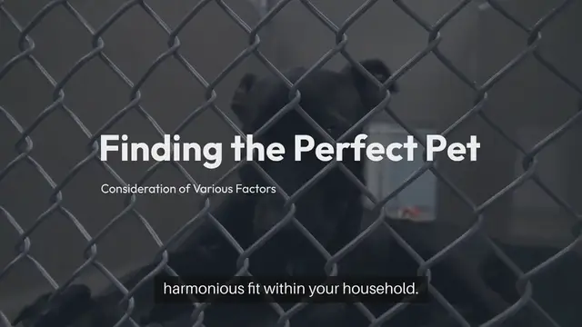 Video thumbnail for Finding the perfect pet for your home