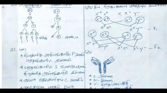 Video thumbnail for 12th Bio-Zoology Quarterly Exam Answer Keys 2019-20 | Neyveli District | Tamil Medium