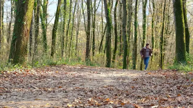 Video thumbnail for Brooks Catamount AGIL: Redefining Trail Performance with Agility and Precision