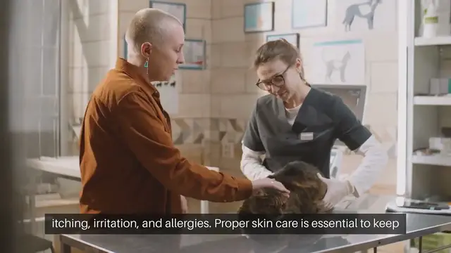 Video thumbnail for Cat Skin Care Remedies