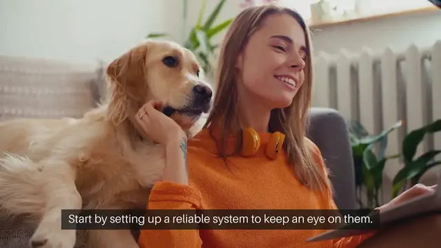 Video thumbnail for Monitoring Pets During Travel