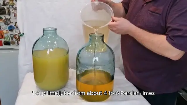 Video thumbnail for limeade recipe