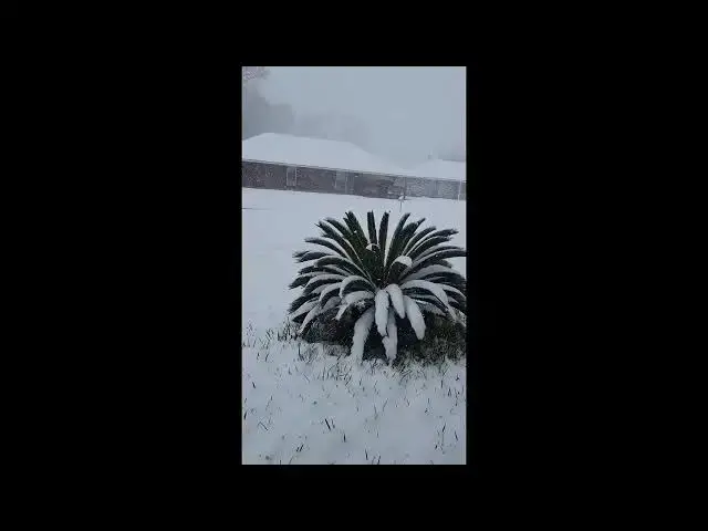 Video thumbnail for Snowing in Baton Rouge, Louisiana, on January 21, 2025