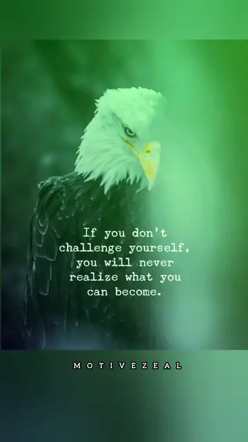 Video thumbnail for Challenge your life