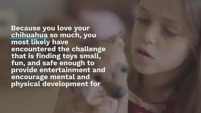 Video thumbnail for 4 BEST CHEW TOYS FOR CHIHUAHUAS: