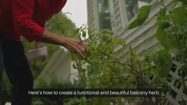 Video thumbnail for Balcony Herb Garden Design