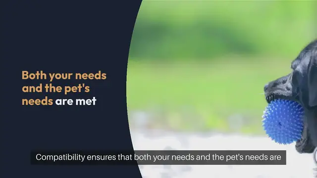 Video thumbnail for Importance of pet compatibility