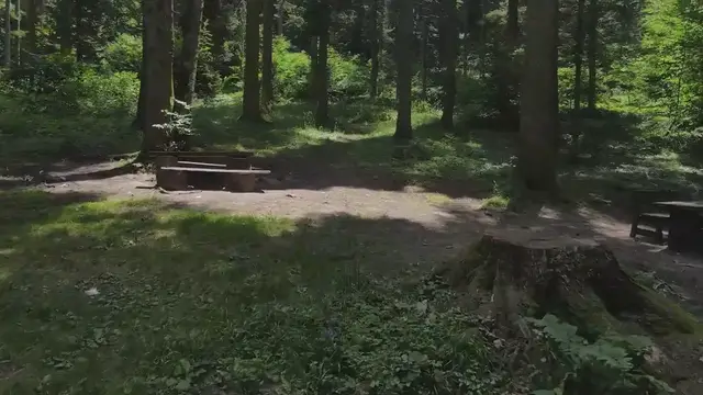 Video thumbnail for Planning for Financial Stability: How to Create a Sustainable Financial Plan for the Future