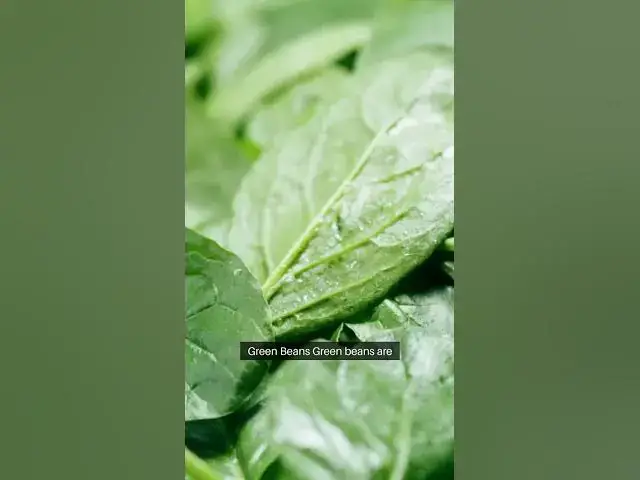 Video thumbnail for Beginner s Veggie Garden Guide  #Radishes #Lettuce #Carrots #Tomatoes #GreenBeans #Zucchini #Peas